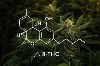 O que é o Delta-8 THC?