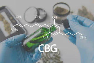 O que é Cannabigerol (CBG)?