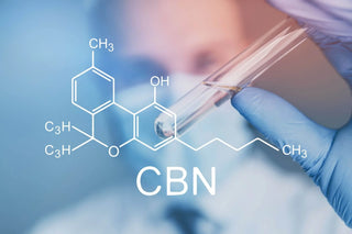 O que é Canabinol (CBN)?