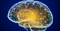 Banner do artigo