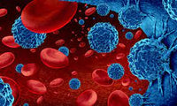 Banner do artigo