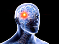 Banner do artigo
