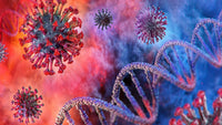 Banner do artigo