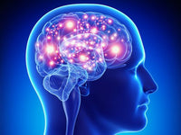 Banner do artigo