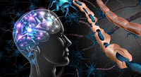 Banner do artigo