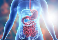 Banner do artigo