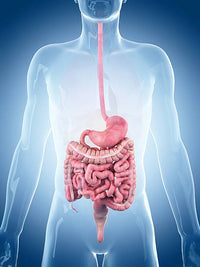 Banner do artigo