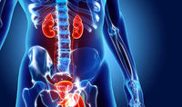 Banner do artigo